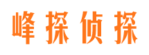 波密侦探公司